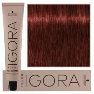 Schwarzkopf Professional Igora Royal Absolutes - trwała farba do włosów z kolagenem, 60ml 6-80 | Ciemny Blond Naturalny Czerwony