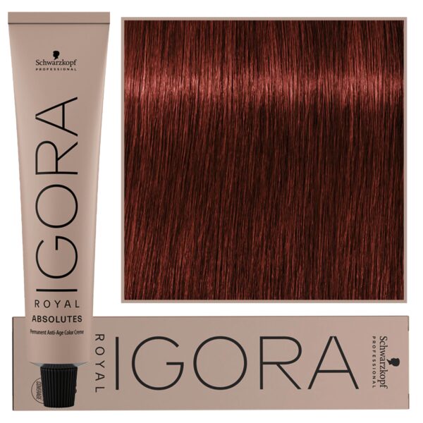 Schwarzkopf Professional Igora Royal Absolutes - trwała farba do włosów z kolagenem, 60ml 6-80 | Ciemny Blond Naturalny Czerwony