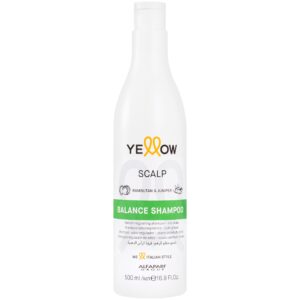 Alfaparf YELLOW Balance - Szampon do włosów przetłuszczających się, 500ml