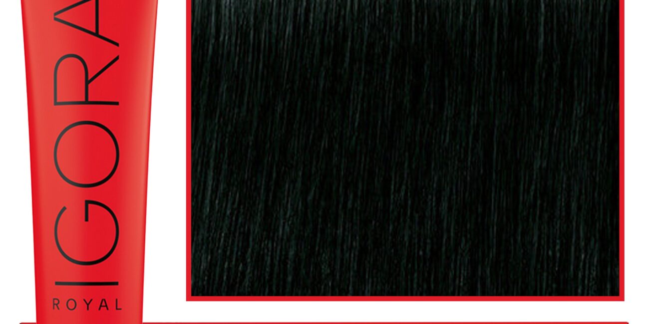 Schwarzkopf Professional Igora Royal - trwała farba do włosów o innowacyjnej formule, 60ml 3-22 | Ciemny Brąz Popielaty Ekstra