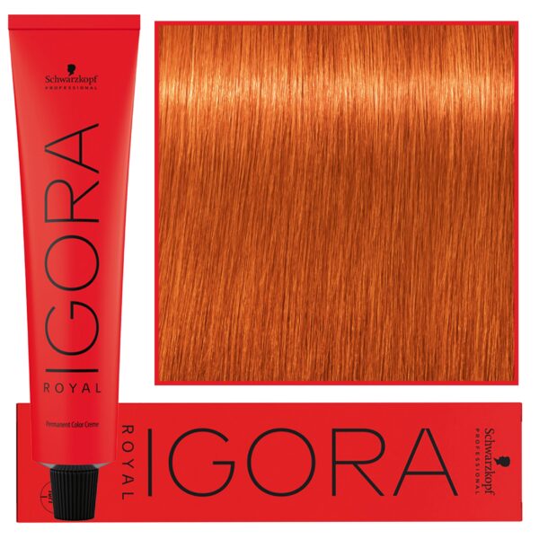 Schwarzkopf Professional Igora Royal - trwała farba do włosów o innowacyjnej formule, 60ml 8-77 | Jasny Blond Miedziany Ekstra