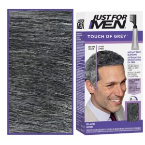 Just For Men Touch of Grey - odsiwiacze do włosów dla mężczyzn, 40g T55 | Czarny
