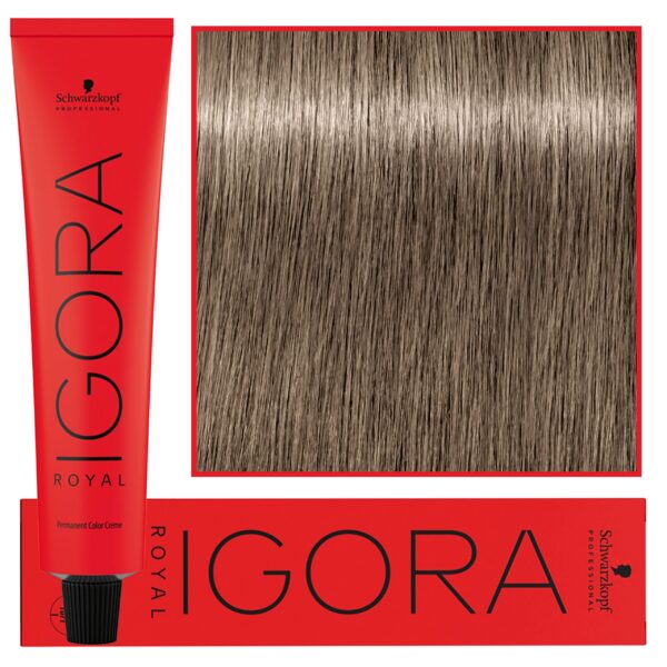 Schwarzkopf Professional Igora Royal - trwała farba do włosów o innowacyjnej formule, 60ml 8-1 | Jasny Blond Cendre