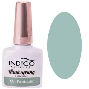 Indigo Gel Polish lakier hybrydowy, kolory 7ml Mr Fantastic
