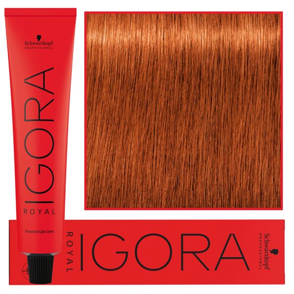 Schwarzkopf Professional Igora Royal - trwała farba do włosów o innowacyjnej formule, 60ml 7-77 | Średni Blond Miedziany Ekstra