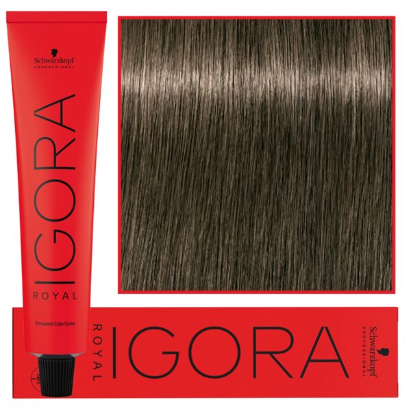 Schwarzkopf Professional Igora Royal - trwała farba do włosów o innowacyjnej formule, 60ml 6-1 | Ciemny Blond Cendre