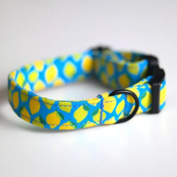 CYTRYNOWA obroża szyta w Polsce MOCNA