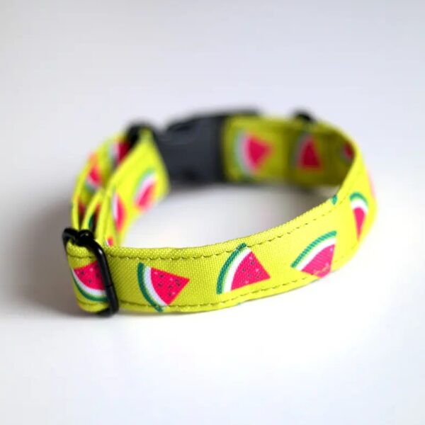 ARBUZOWA obroża dla psa | szyta w Polsce | MOCNA