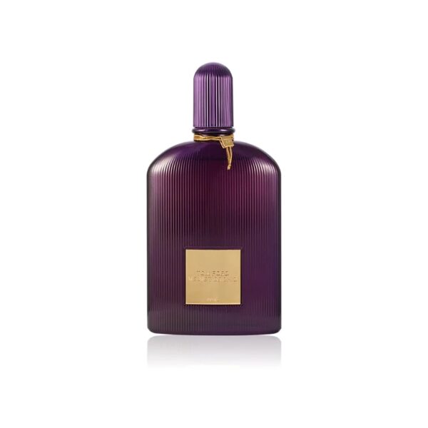 Velvet Orchid