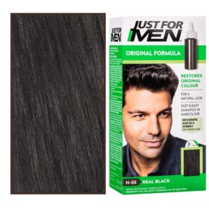 Just For Men – odsiwiacz do włosów dla mężczyzn, 66 ml H55 |  Czarny Naturalny