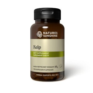 Kelp (100 kaps.) - algi morskie
