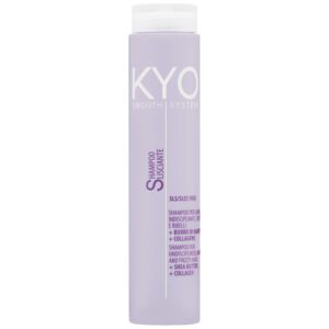 KYO Smooth System Frizzy Hair Shampoo - delikatny szampon wygładzający, 250ml