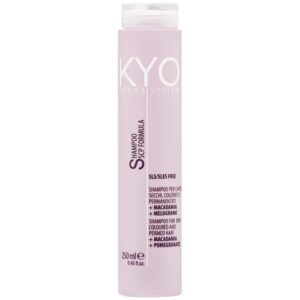 KYO Hydra System Dry Coloured Hair Shampoo - szampon dla włosów suchych i po koloryzacji, 250ml