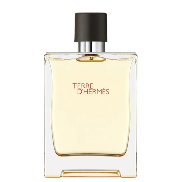 Hermès Terre d’Hermès EDT