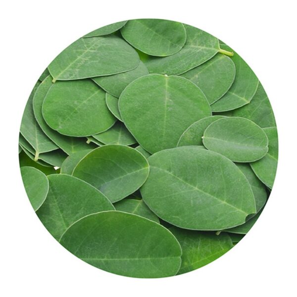 Geomar Thalasso Scrub Purificante (Węgiel drzewny i Herbata Matcha) peeling do ciala 600g (XL)
